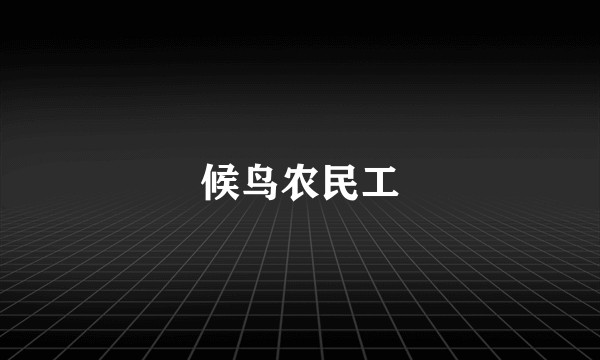 候鸟农民工