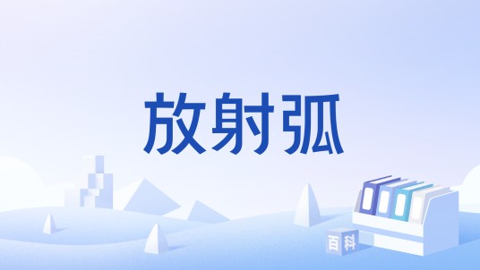 放射弧