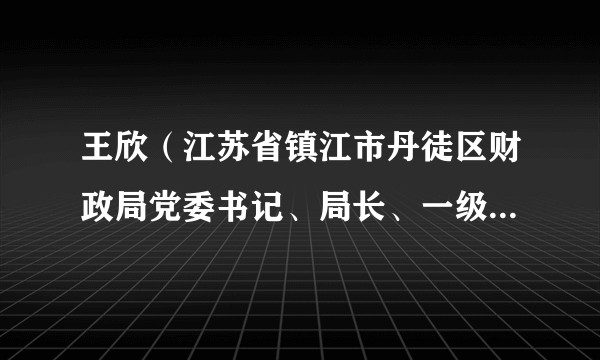 王欣（江苏省镇江市丹徒区财政局党委书记、局长、一级主任科员）