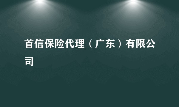 首信保险代理(广东)有限公司