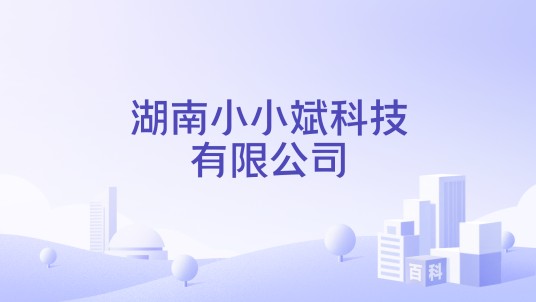 湖南小小斌科技有限公司