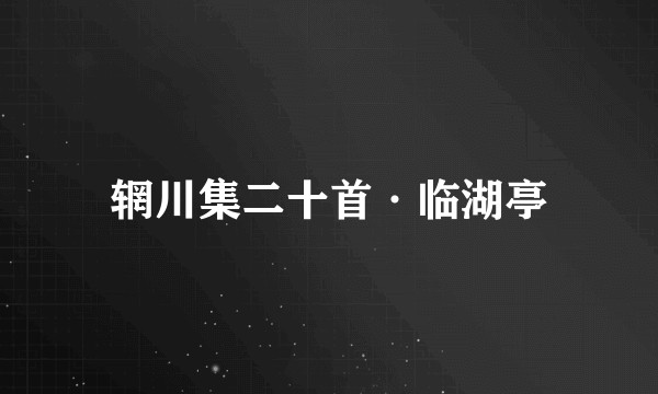 辋川集二十首·临湖亭