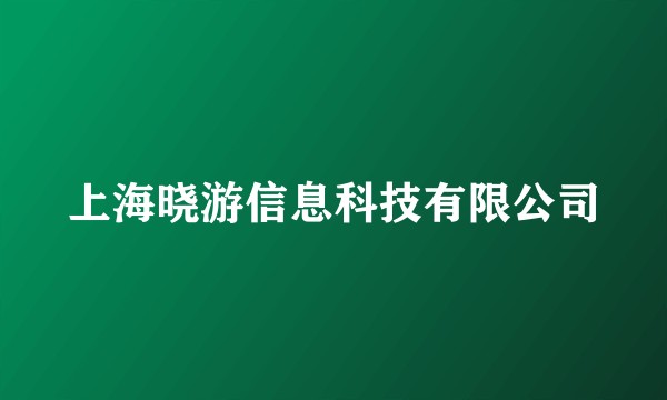 上海晓游信息科技有限公司