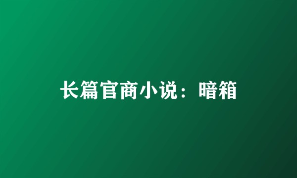 长篇官商小说：暗箱