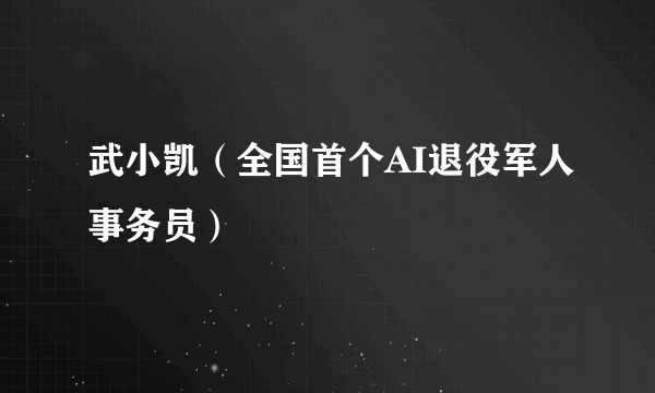 武小凯（全国首个AI退役军人事务员）