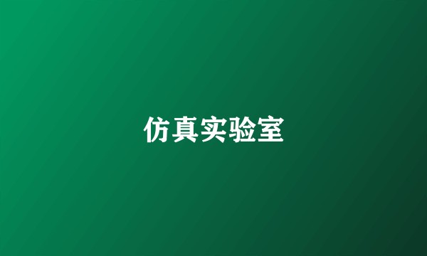 仿真实验室