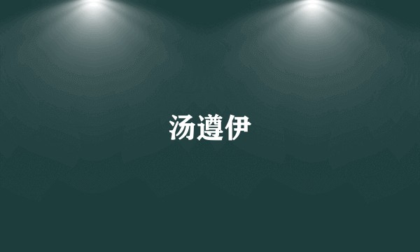 汤遵伊