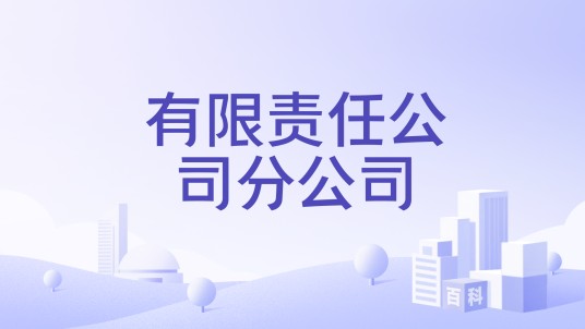 有限责任公司分公司