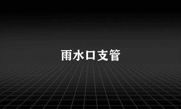 雨水口支管