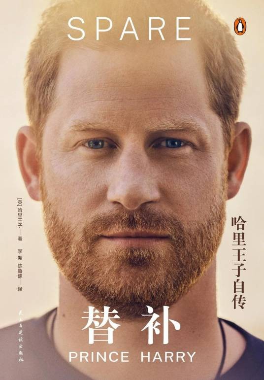 替补（哈里王子创作的回忆录）