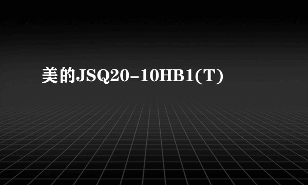 美的JSQ20-10HB1(T)