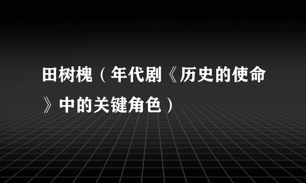 田树槐（年代剧《历史的使命》中的关键角色）