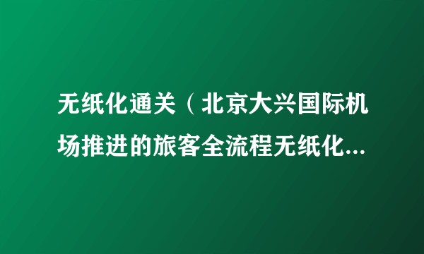 无纸化通关（北京大兴国际机场推进的旅客全流程无纸化便捷通关服务）