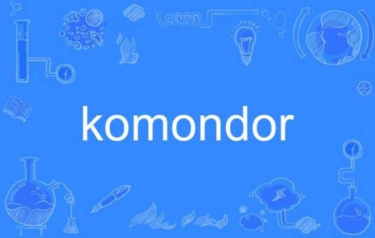 komondor
