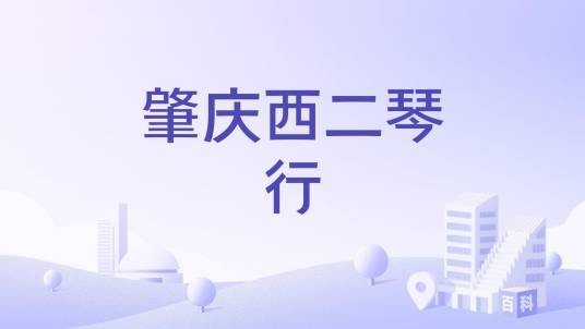 肇庆西二琴行