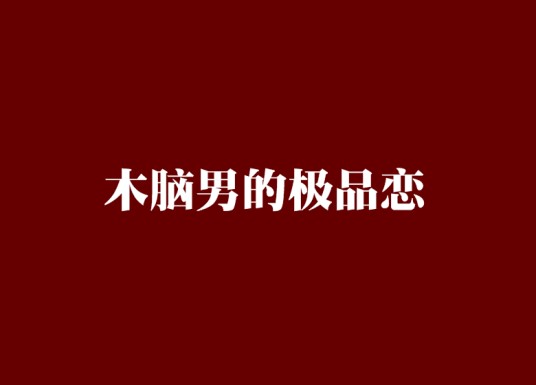 木脑男的极品恋