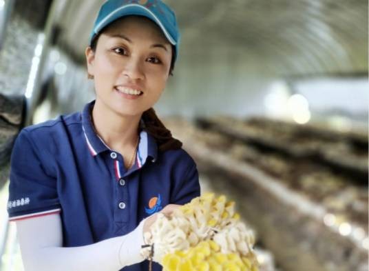 余海燕（中国鹤塘明艳茶叶专业合作社和洲洋食用菌研究所负责人）