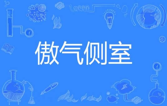 傲气侧室
