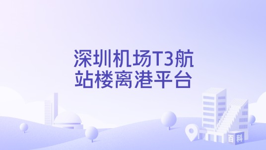 深圳机场T3航站楼离港平台