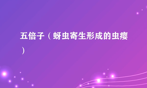 五倍子（蚜虫寄生形成的虫瘿）