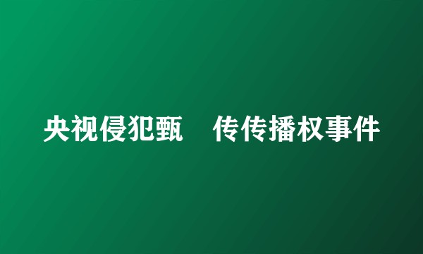 央视侵犯甄嬛传传播权事件