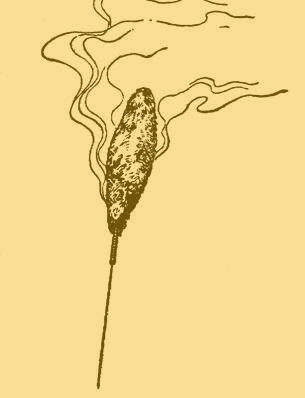 温针灸