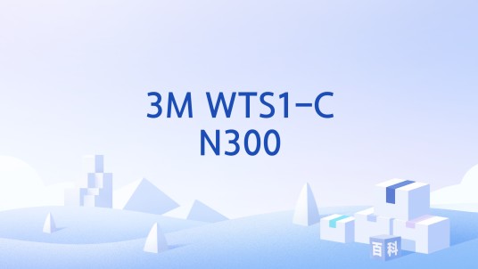 3M WTS1-CN300