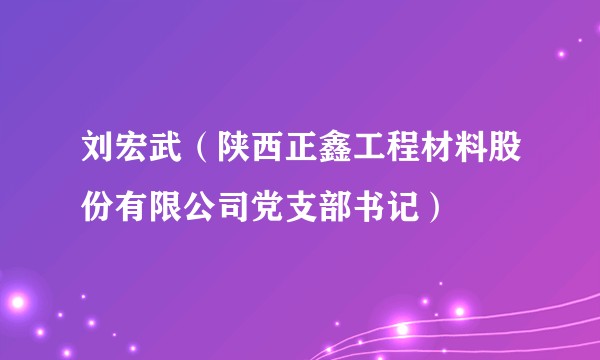 刘宏武（陕西正鑫工程材料股份有限公司党支部书记）