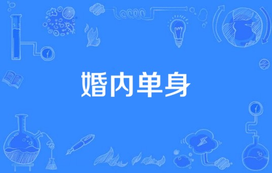 婚内单身(婚姻术语)