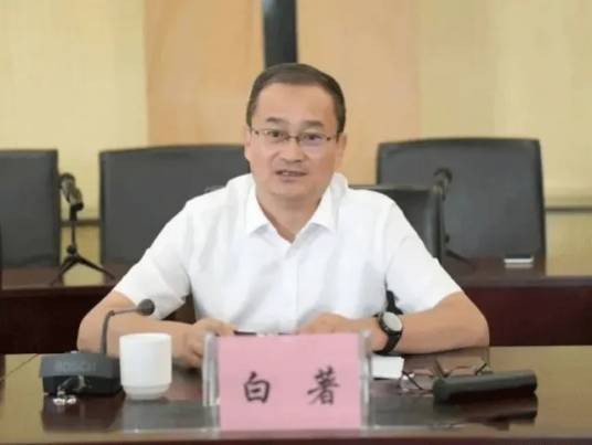 白著（中交建筑集团有限公司党委书记、董事长（法定代表人））