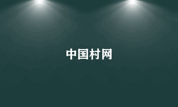 中国村网