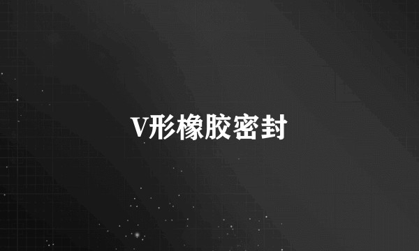 V形橡胶密封