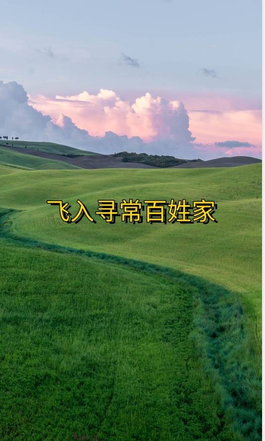 飞入寻常百姓家