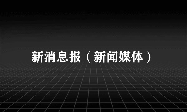 新消息报（新闻媒体）