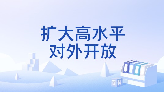 扩大高水平对外开放