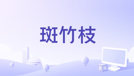 斑竹枝(周林枫演唱的歌曲)