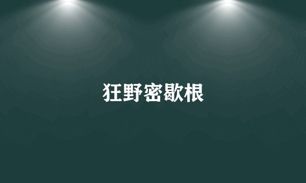 狂野密歇根