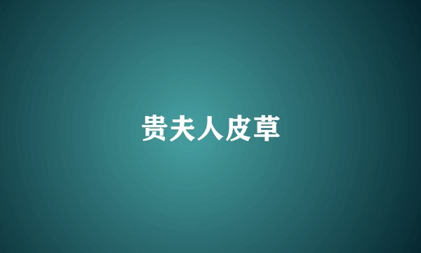 贵夫人皮草