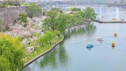 公园20分钟效应