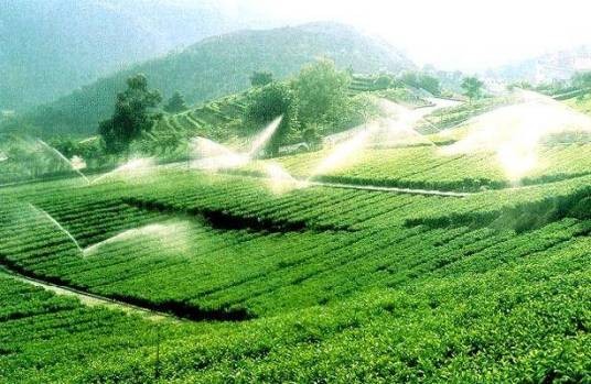 山东丘陵