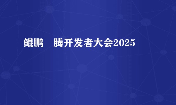 鲲鹏昇腾开发者大会2025