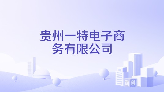 贵州一特电子商务有限公司