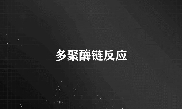 多聚酶链反应