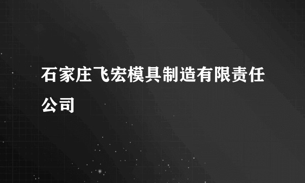 石家庄飞宏模具制造有限责任公司