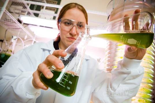 生物工程(综合性应用学科)
