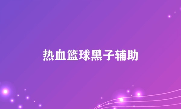 热血篮球黑子辅助
