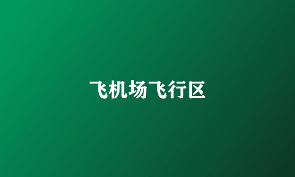 飞机场飞行区