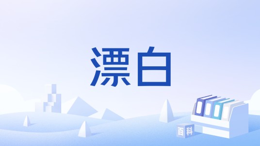 漂白（社会学名词）