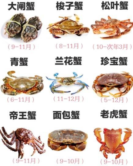 螃蟹的种类