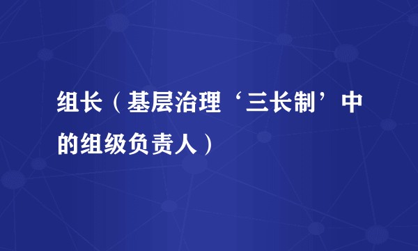 组长(基层治理‘三长制’中的组级负责人)